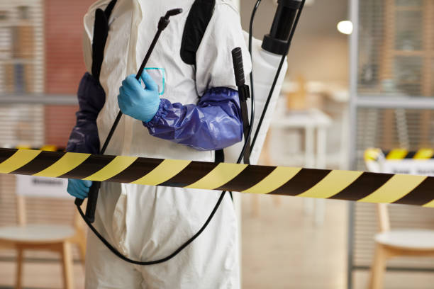 Professional Sewage Cleanup technician working in College Park, MD