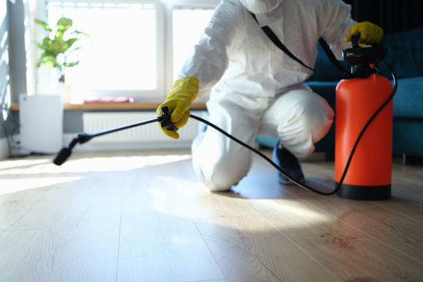 Reliable Sewage Cleanup contractor in College Park, MD by Trauma Clean Pros